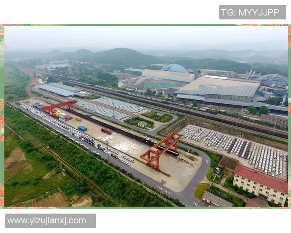 武汉篮球队的转型升级之路：从传统到现代的全面革新探讨