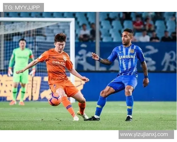 深圳排球队灵活性引发热议球迷与专家观点大碰撞